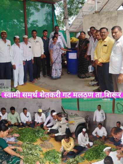 शेतकरी उत्पादक गट